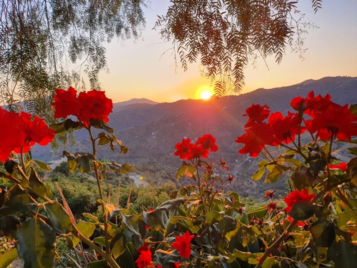 Cortijo La Rijana Villa Sayalonga Kültér fotó